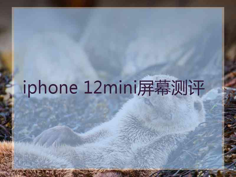 iphone 12mini屏幕测评
