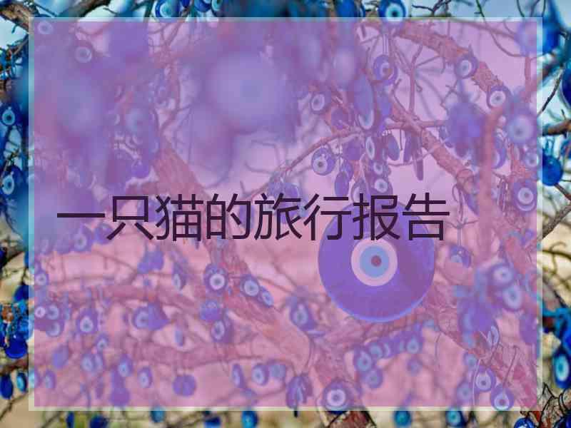 一只猫的旅行报告