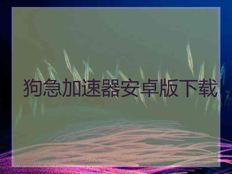 狗急加速器安卓版下载
