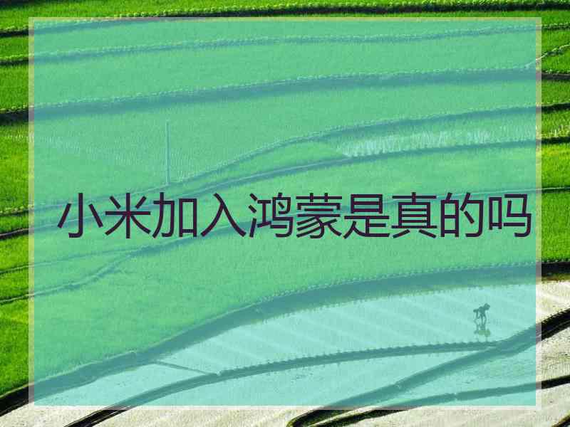 小米加入鸿蒙是真的吗