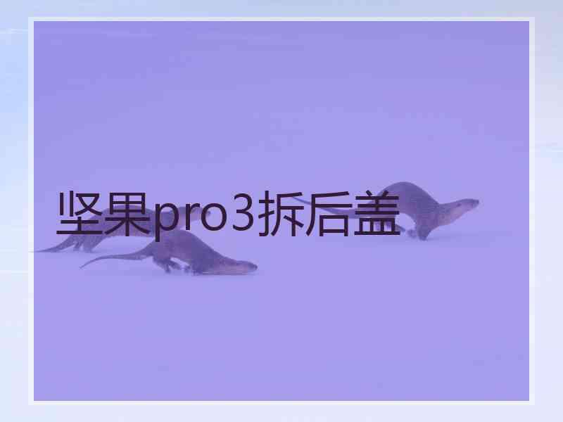 坚果pro3拆后盖