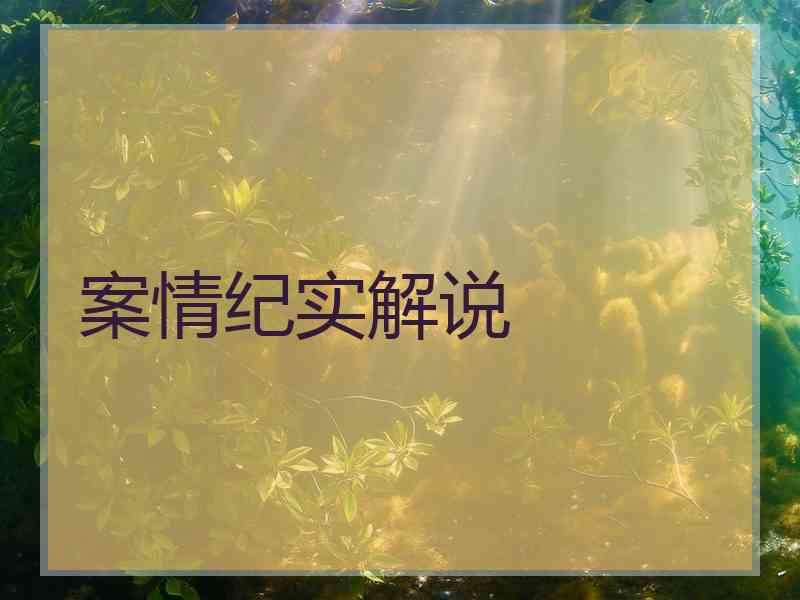 案情纪实解说