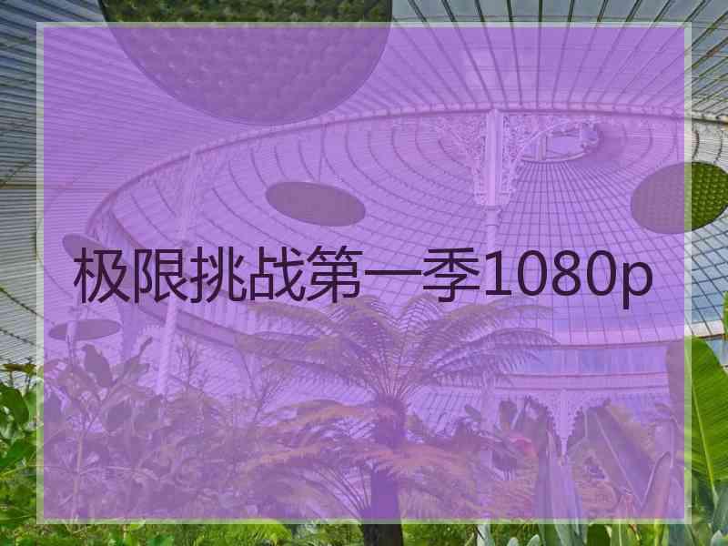 极限挑战第一季1080p