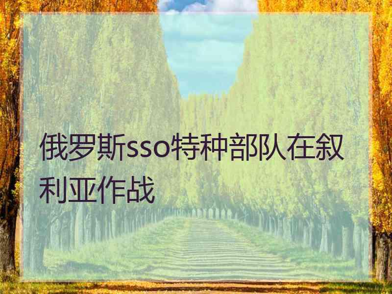 俄罗斯sso特种部队在叙利亚作战
