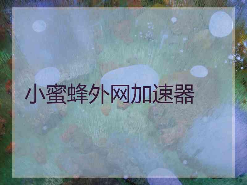 小蜜蜂外网加速器