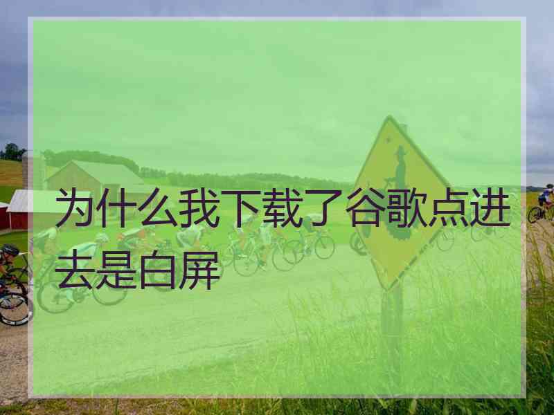 为什么我下载了谷歌点进去是白屏