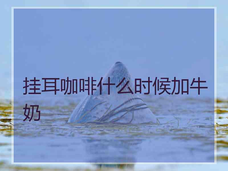 挂耳咖啡什么时候加牛奶