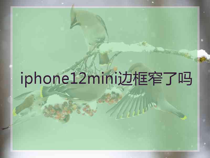 iphone12mini边框窄了吗