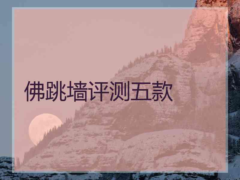 佛跳墙评测五款