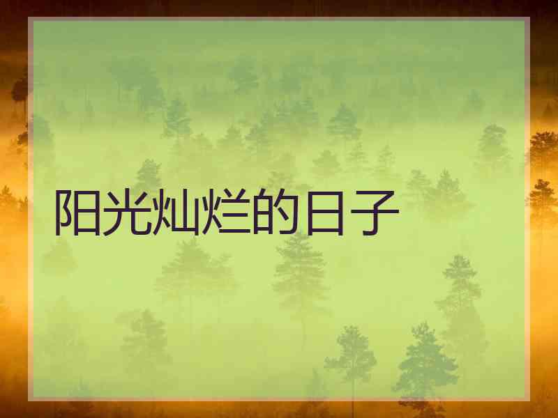 阳光灿烂的日子
