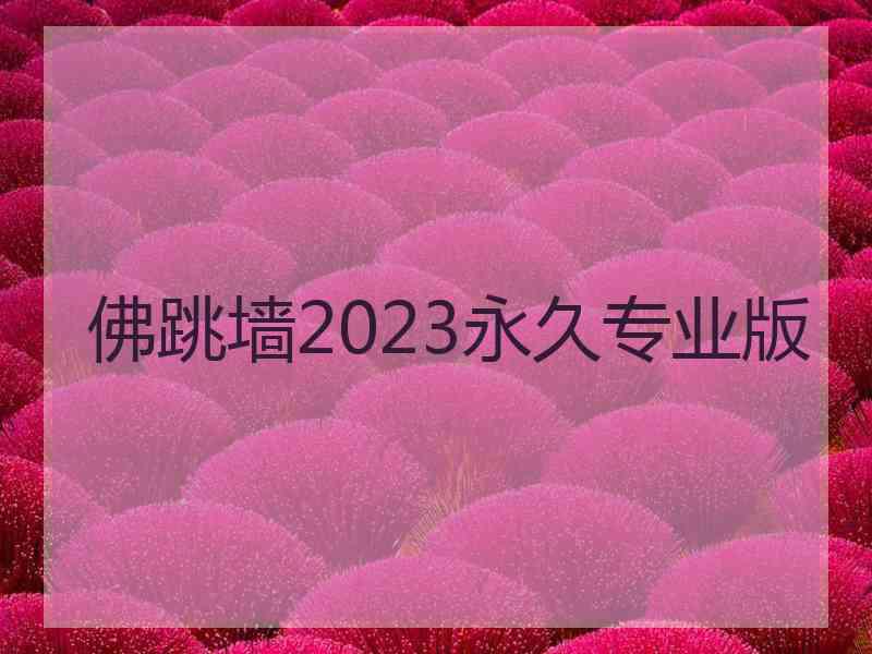 佛跳墙2023永久专业版