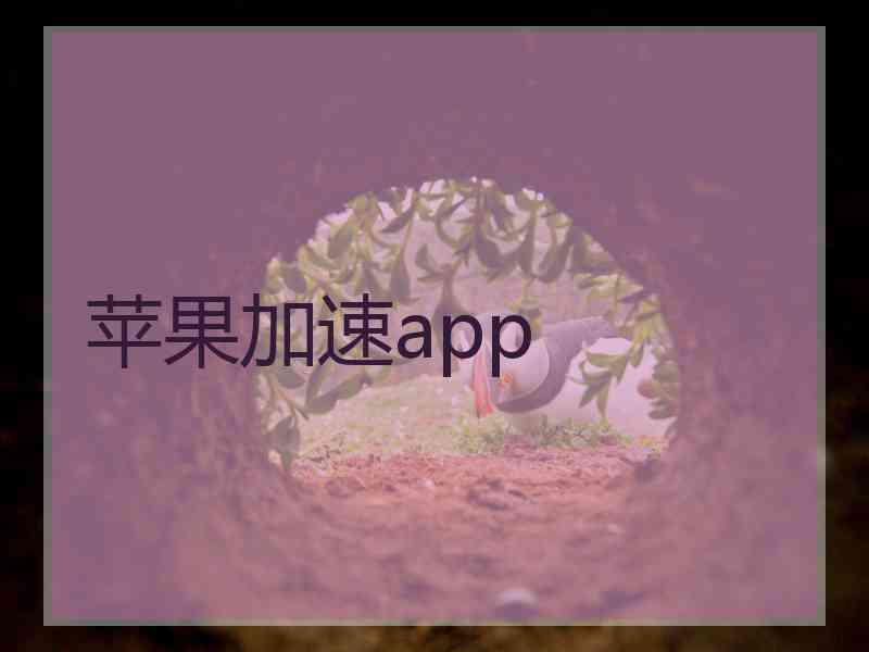 苹果加速app