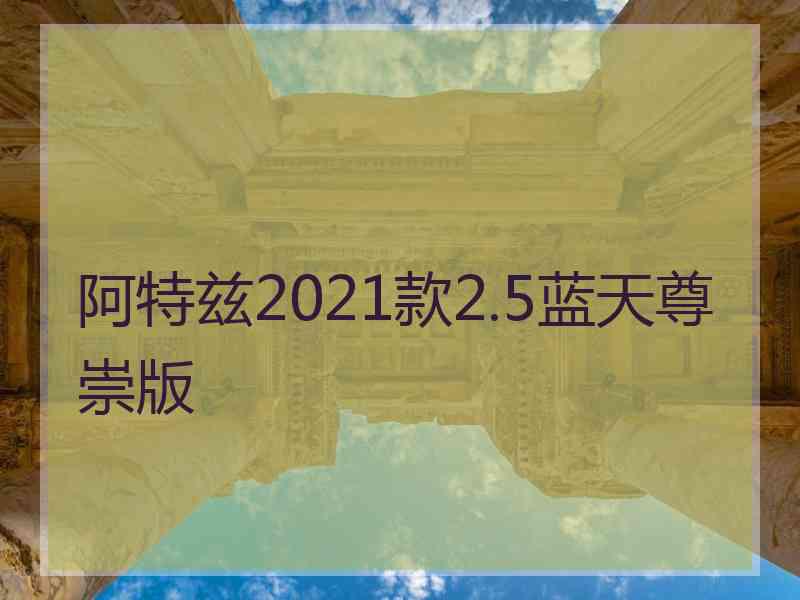 阿特兹2021款2.5蓝天尊崇版