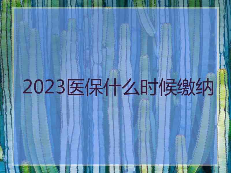 2023医保什么时候缴纳