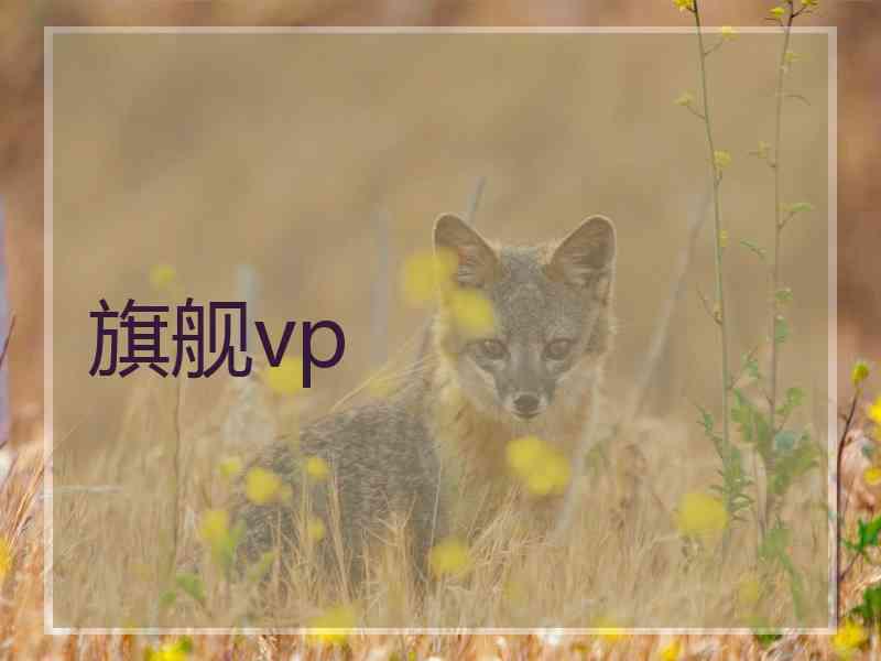 旗舰vp