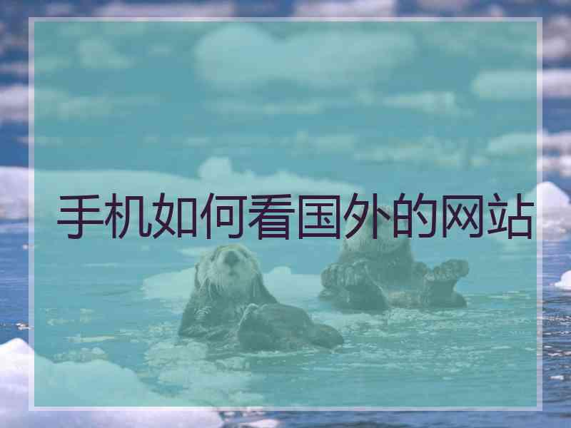 手机如何看国外的网站
