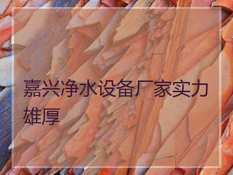 嘉兴净水设备厂家实力雄厚