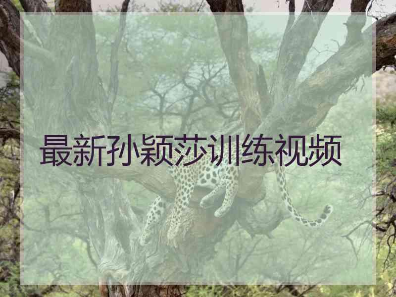 最新孙颖莎训练视频