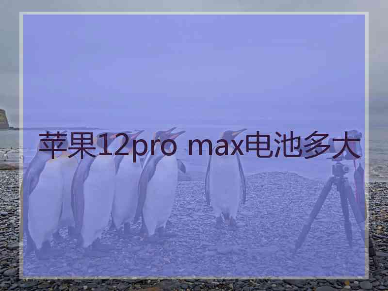 苹果12pro max电池多大