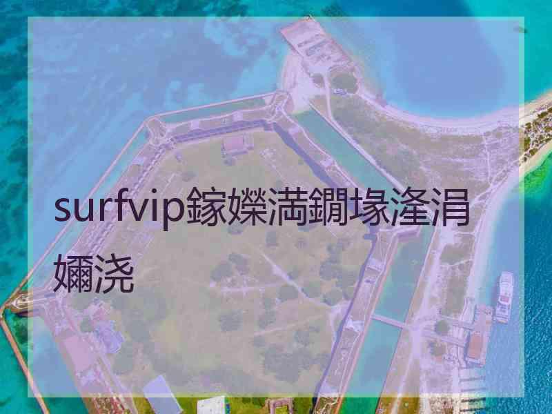 surfvip鎵嬫満鐗堟湰涓嬭浇