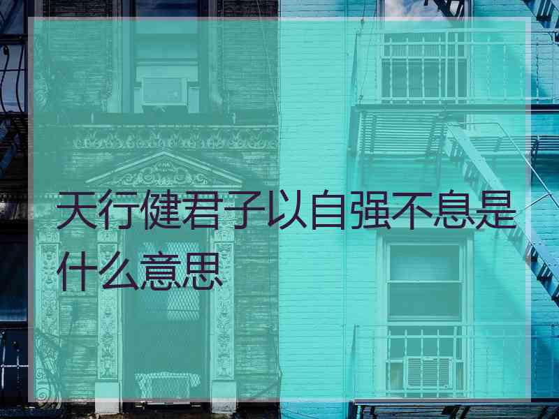 天行健君子以自强不息是什么意思