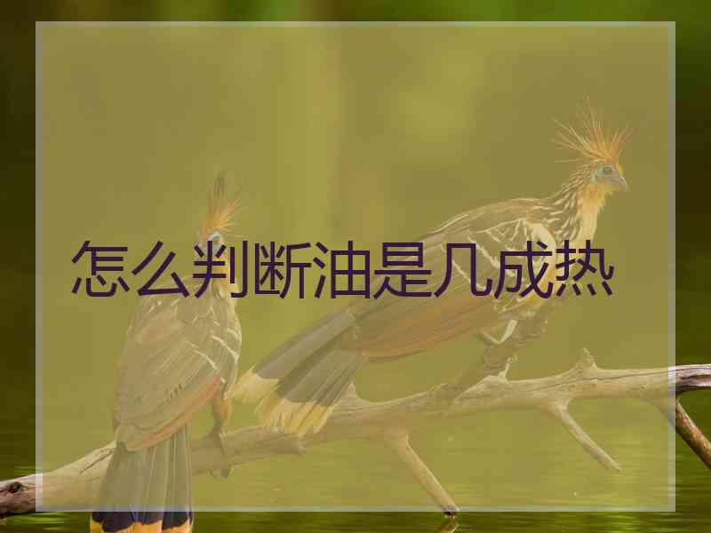怎么判断油是几成热