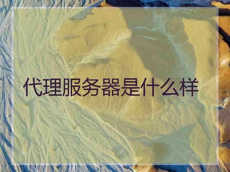 代理服务器是什么样