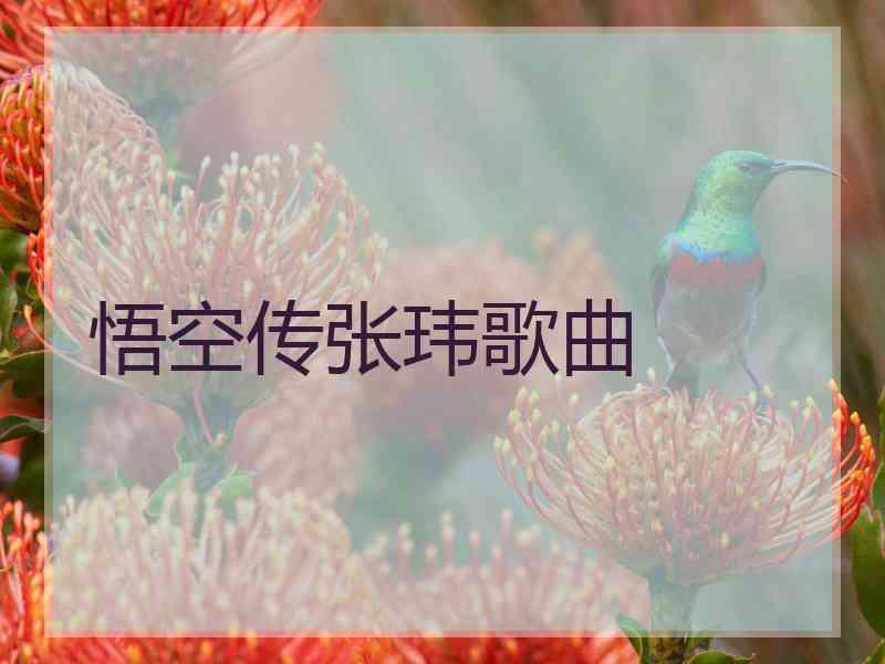 悟空传张玮歌曲