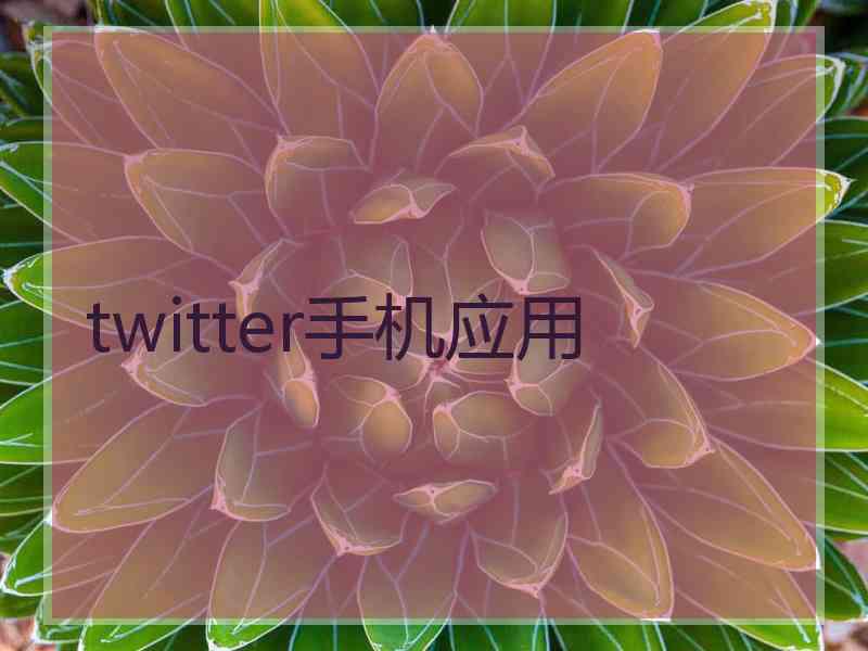 twitter手机应用