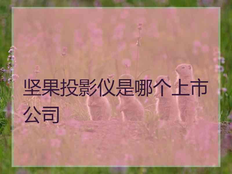 坚果投影仪是哪个上市公司