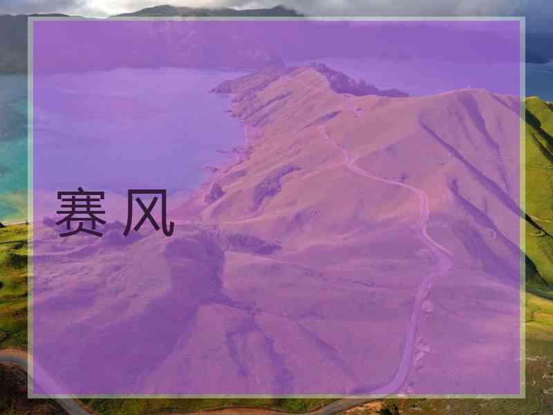 赛 风