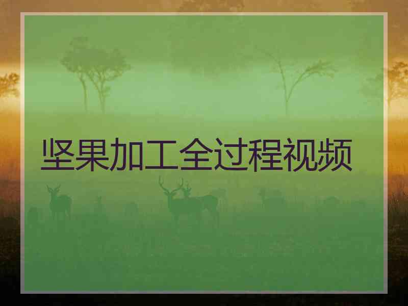 坚果加工全过程视频