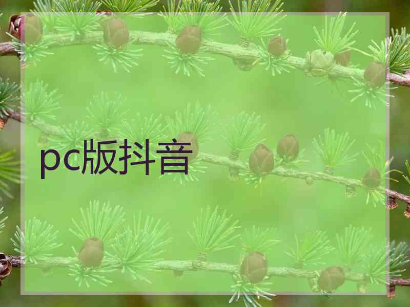 pc版抖音
