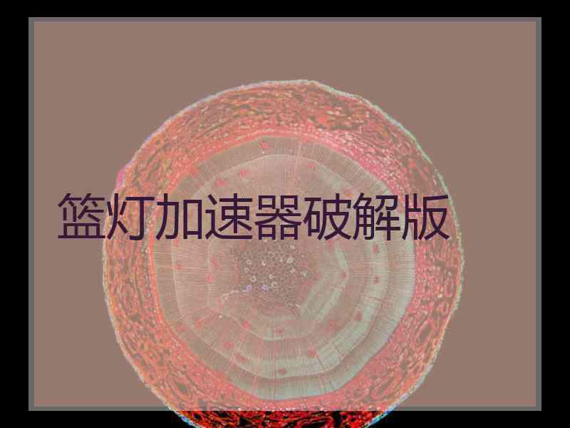 篮灯加速器破解版