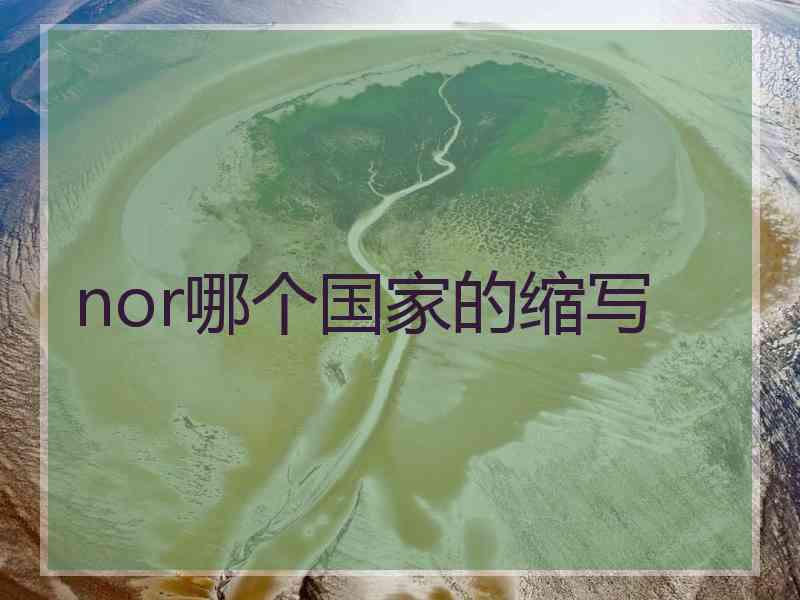 nor哪个国家的缩写