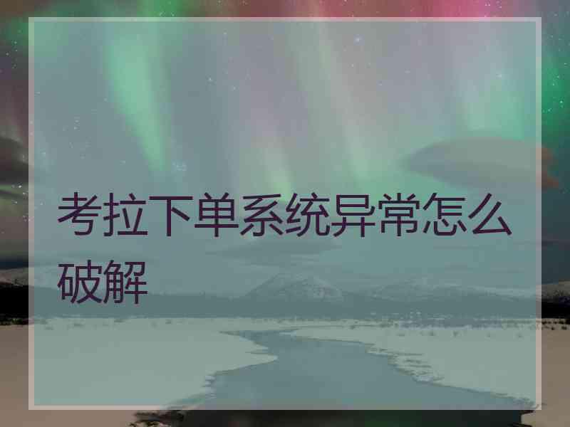 考拉下单系统异常怎么破解
