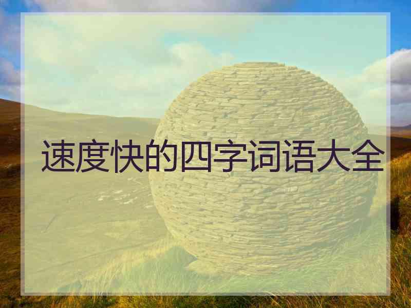 速度快的四字词语大全
