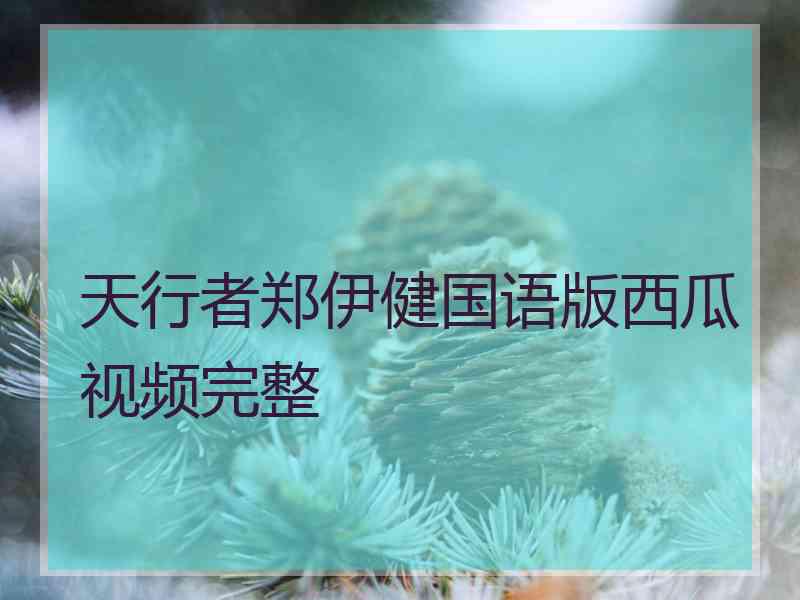 天行者郑伊健国语版西瓜视频完整