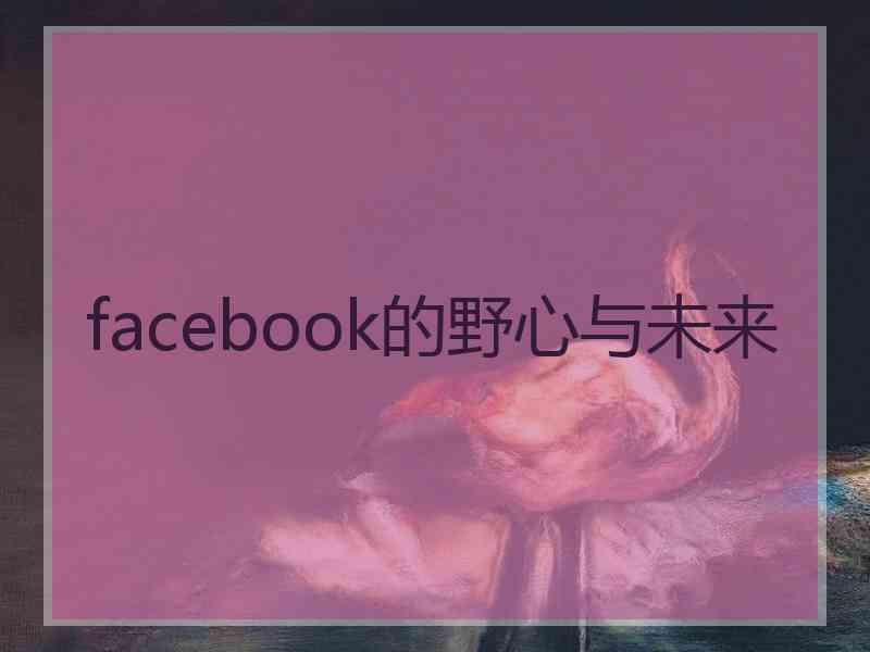 facebook的野心与未来
