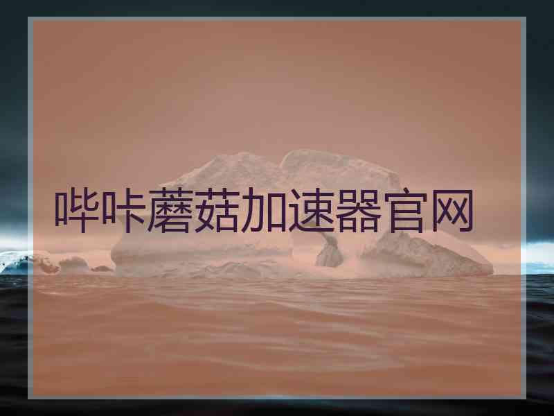 哔咔蘑菇加速器官网