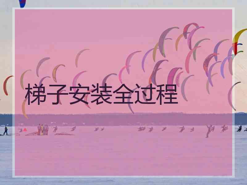 梯子安装全过程