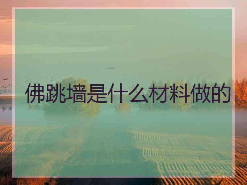 佛跳墙是什么材料做的