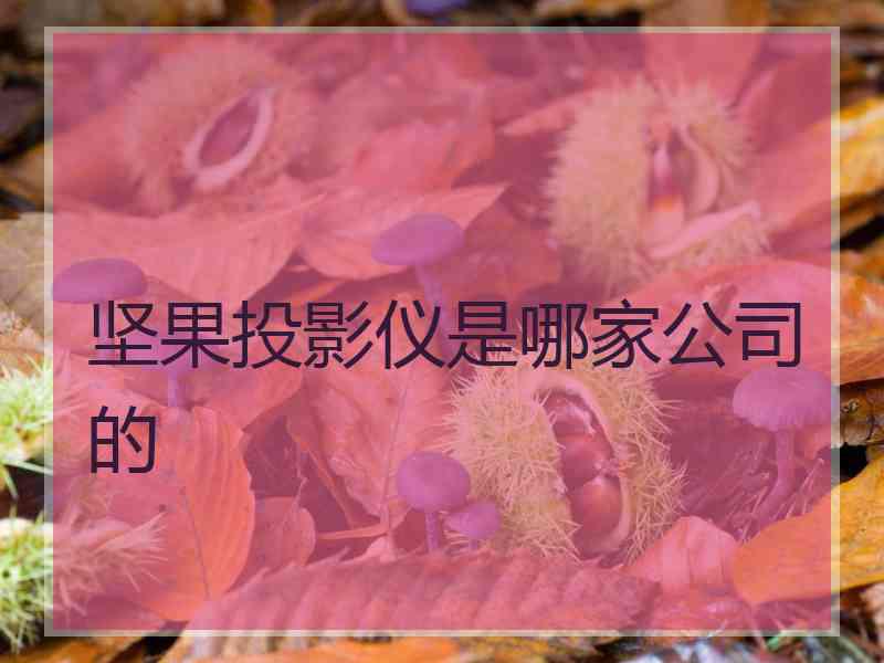 坚果投影仪是哪家公司的