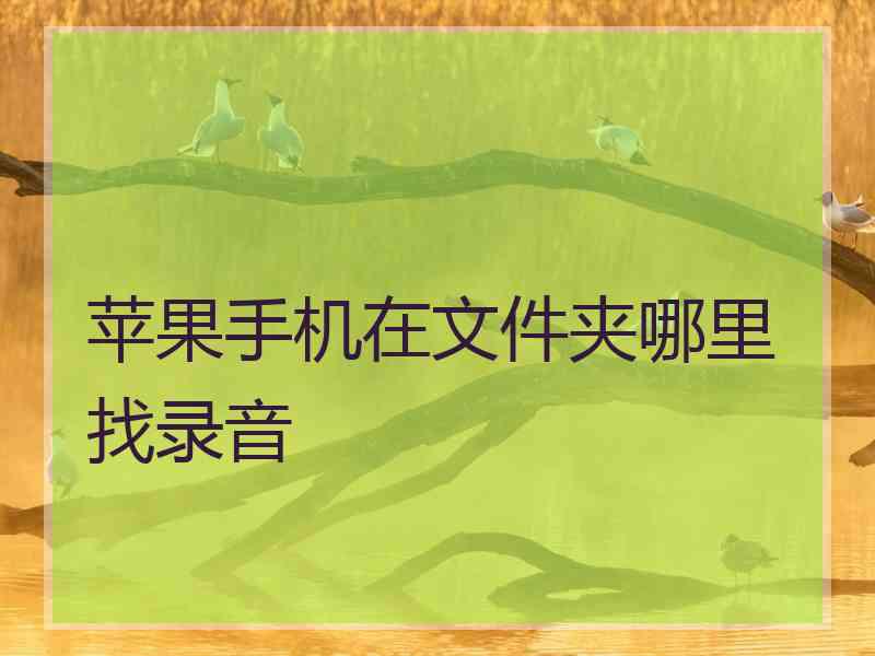 苹果手机在文件夹哪里找录音