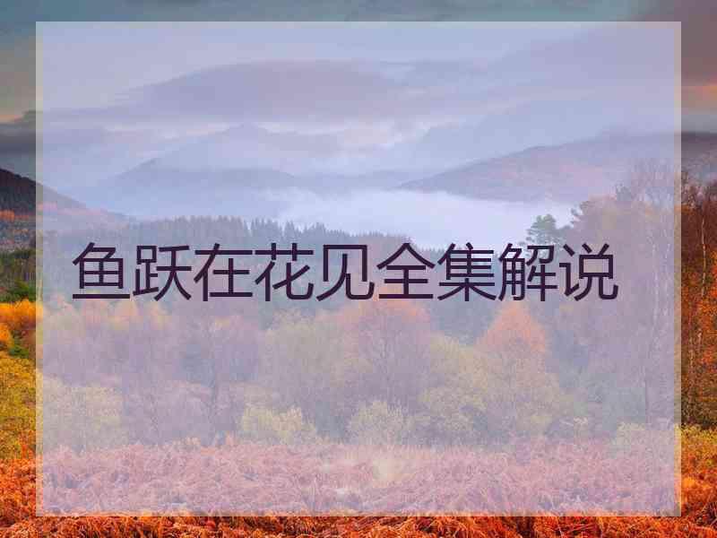 鱼跃在花见全集解说