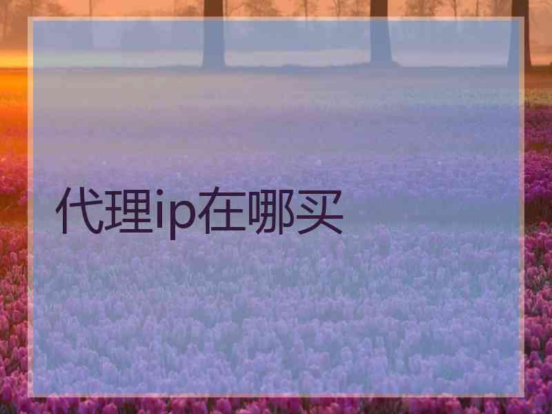代理ip在哪买