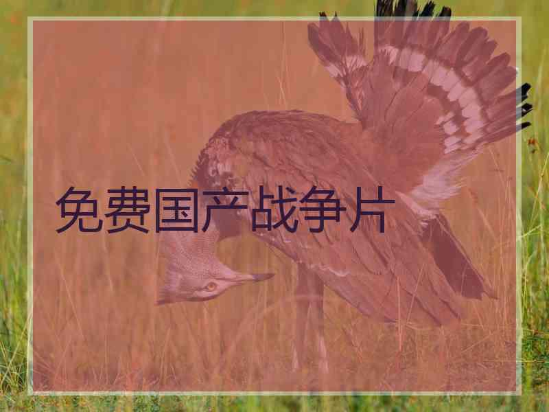 免费国产战争片