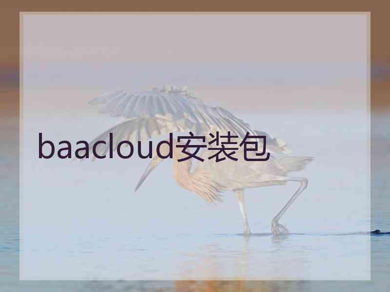 baacloud安装包