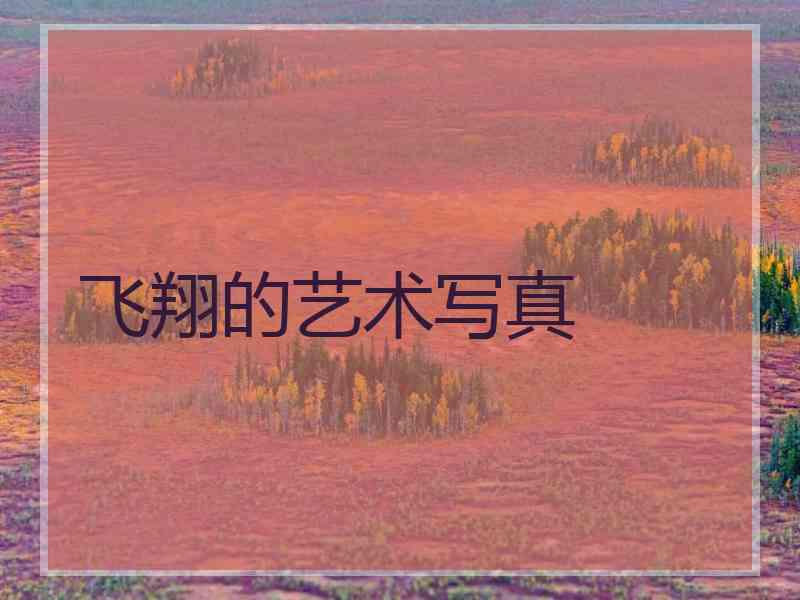飞翔的艺术写真