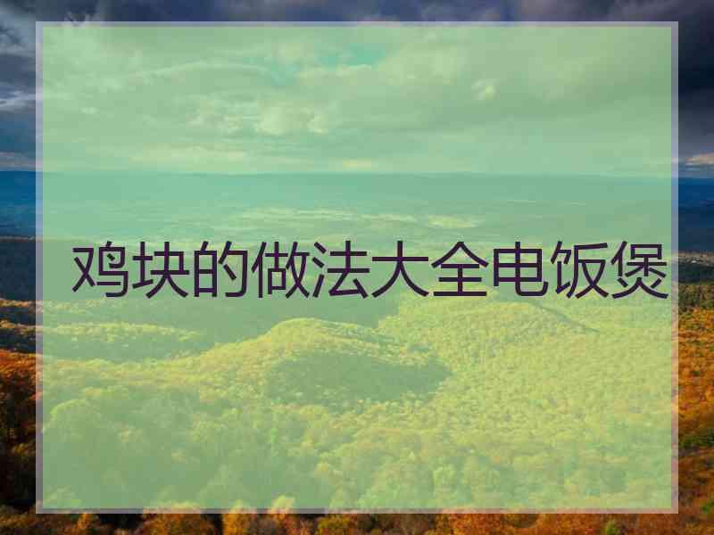 鸡块的做法大全电饭煲